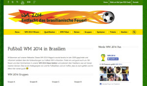 wm 2014 in brasilien die besten blogs