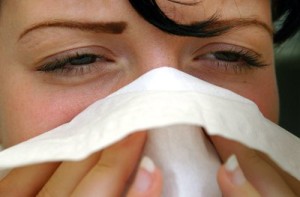Google Flu Trends soll vor Grippewellen warnen